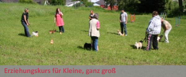 Erziehungskurs für Kleine, ganz groß