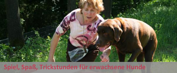 Spiel, Spaß, Trickstunden für Erwachsene Hunde